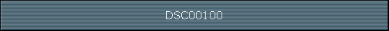 DSC00100